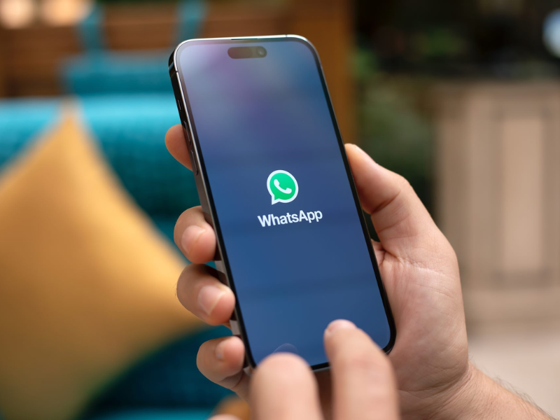 sistema automatizado para WhatsApp delivery